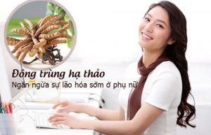 Đông trùng hạ thảo đối với phụ nữ
