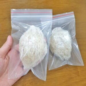 yến sào sét nhỏ một tai yến