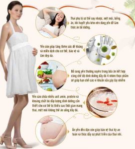 Lợi ích của yến sào đối với phụ nữ mang thai