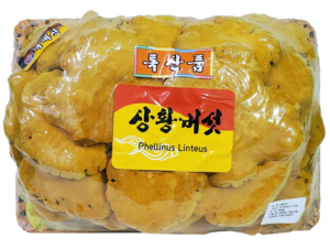 Nấm thượng hoàng